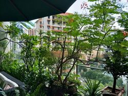 Saint Thomas Walk (D9), Apartment #445884101